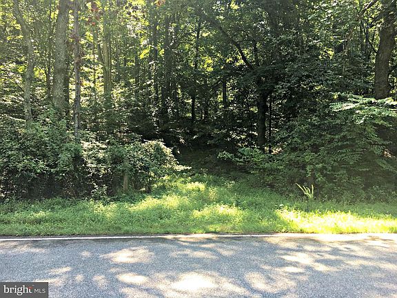 2nd image of Locust Grove Dr