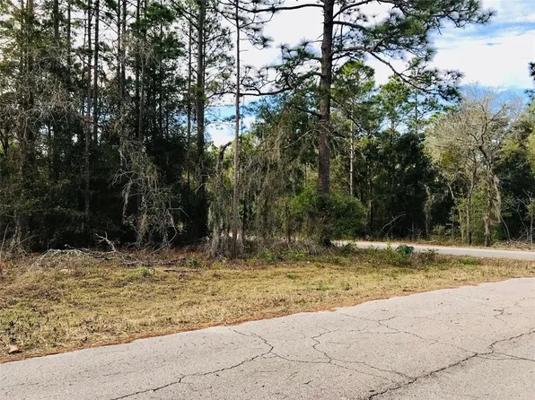 TBD NE 15TH STREET, WILLISTON, FL 32696
