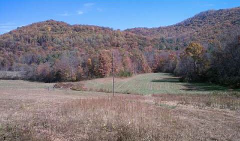 1st image of 10 46th Acres
