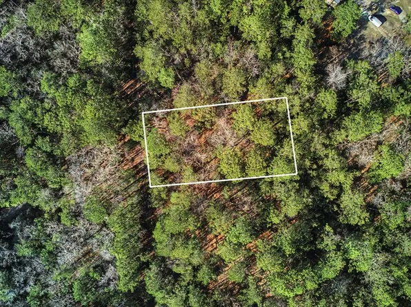 191 Sassafras Dr, Brookeland, TX 75931