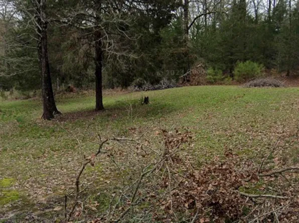 195 Hollow Oak Ln, Big Sandy, TX 75755
