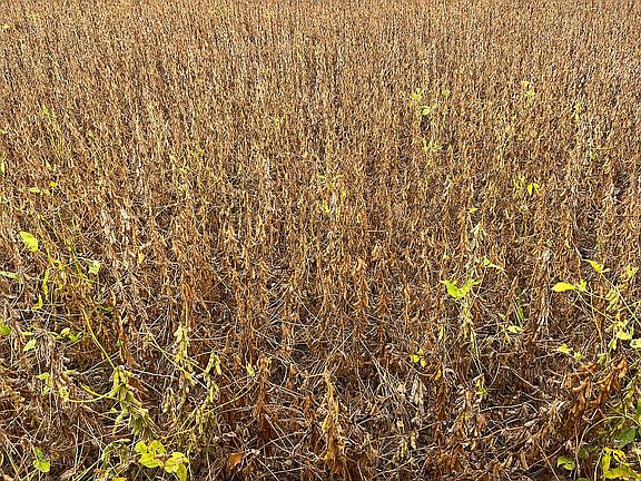 3rd image of 9800 Us Highway 79