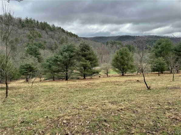 0 County Road 33, Bolivar, NY 14715