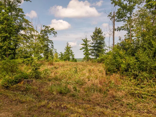 0 Bobcat Lane, Mammoth Spring, AR 72554