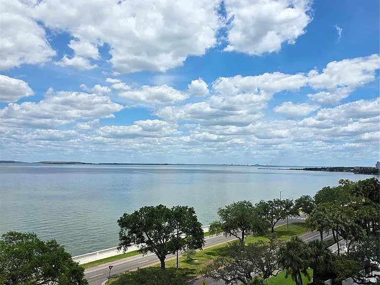 4015 Bayshore Blvd #7F — Photo 2