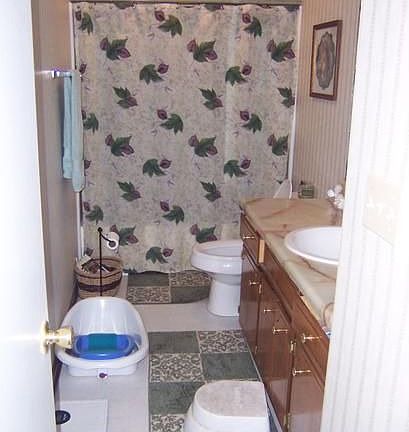 Main Bathroom
