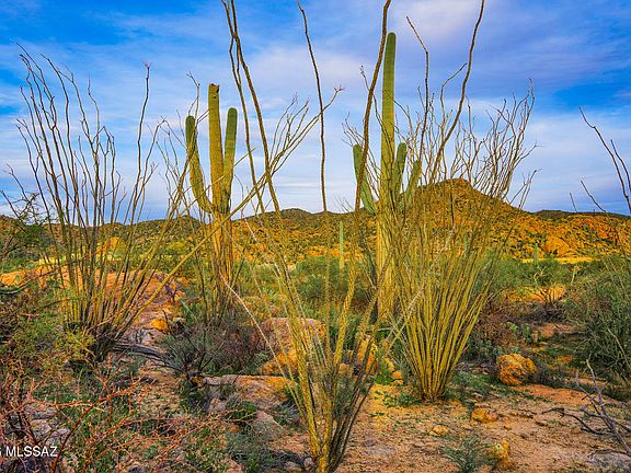 4th image of 12650 E Roger Rd