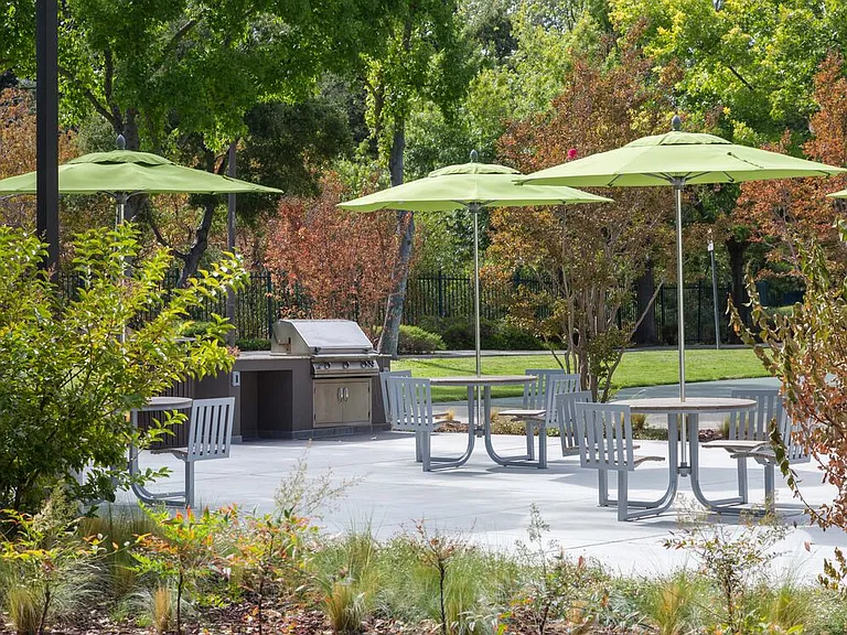 Barbecue grills and picnic areas