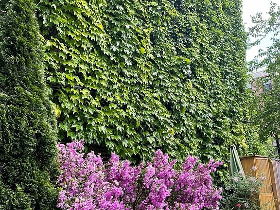 5th image of 44 W 127th St