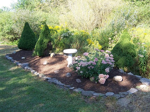 Backyard Landscaping