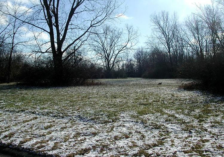 2nd image of 3735 3rd Ave