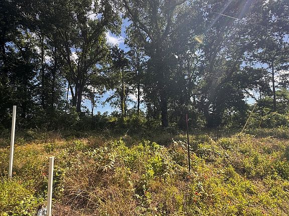 3rd image of 0 W State Highway 294
