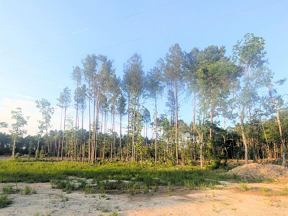 4th image of TRACT 4 Critter Cove Ln
