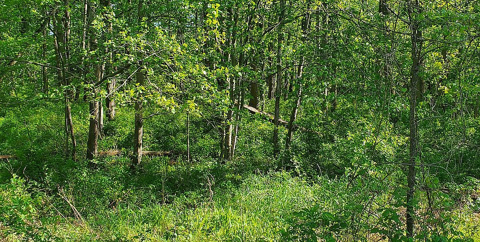 1st image of 0 Little Ox Rd