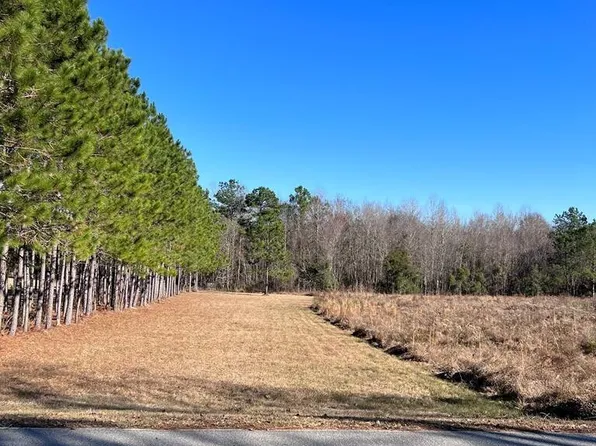 520 Limestone St Tract 1, Mount Vernon, GA 30445