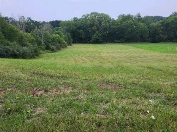 Ryan & Chippewa Rd, Medina, OH 44256