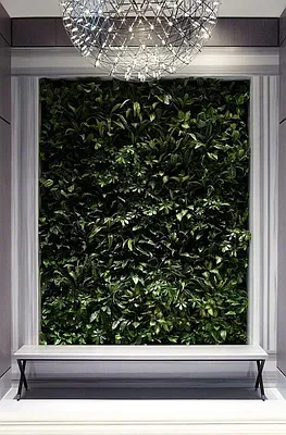 Rented by Dynamik Realty | media 17