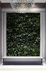 Rented by Dynamik Realty