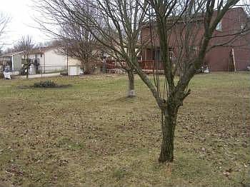 5th image of 260 N Rainbow Dr