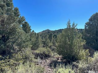 4690 Hanaupah Rd, Reno, NV 89521