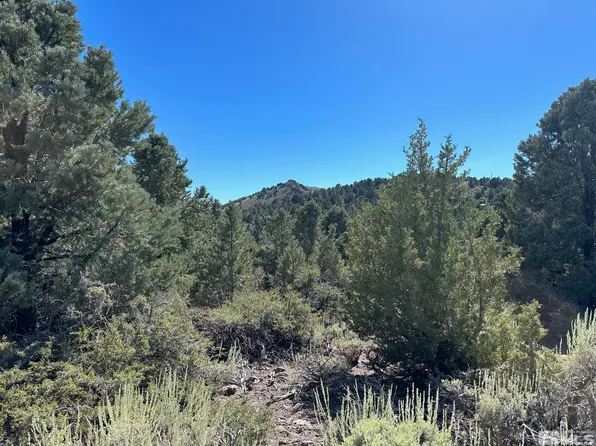 4690 Hanaupah Rd, Reno, NV 89521
