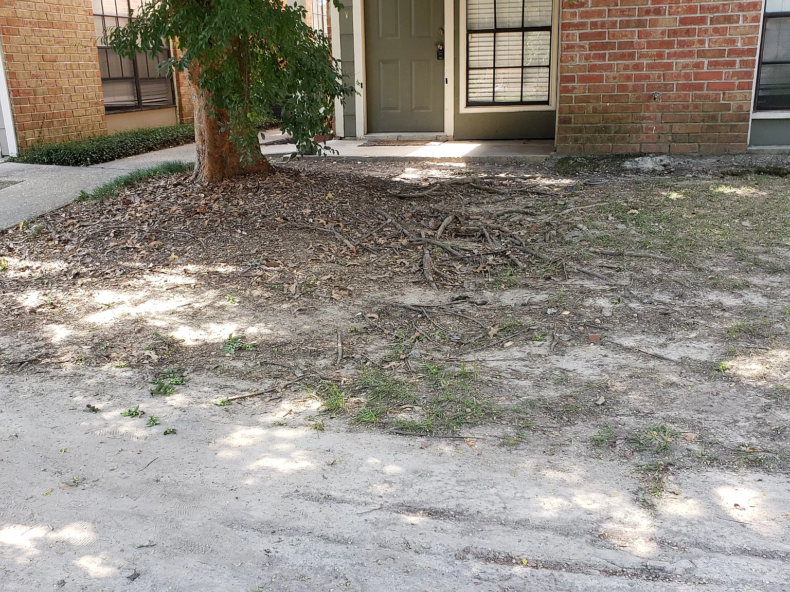 244 Bracewell Dr — Photo 1