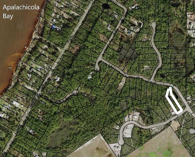 1st image of 251 Sago Dr