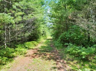 Spirit Wood Trl, Land O Lakes, WI 54540
