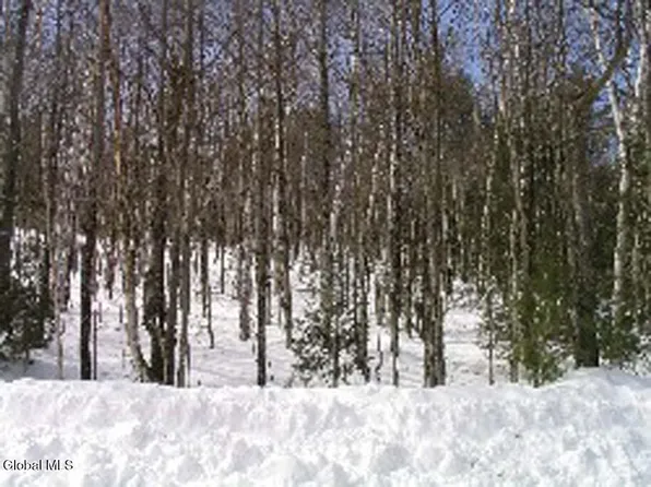 L52.132 River Road, North Creek, NY 12853