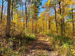 0 Breakneck Rd, Birchwood, WI 54817