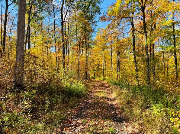 0 Breakneck Road, Birchwood, WI 54817