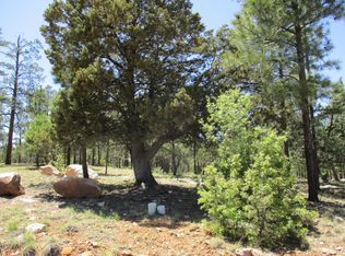 2408 San Juan Dr, Happy Jack, AZ 86024