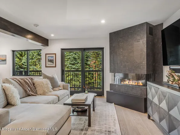 650 S Monarch St Unit 7, Aspen, CO 81611