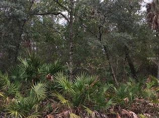 431 S Shell Rd, Deland, FL 32720