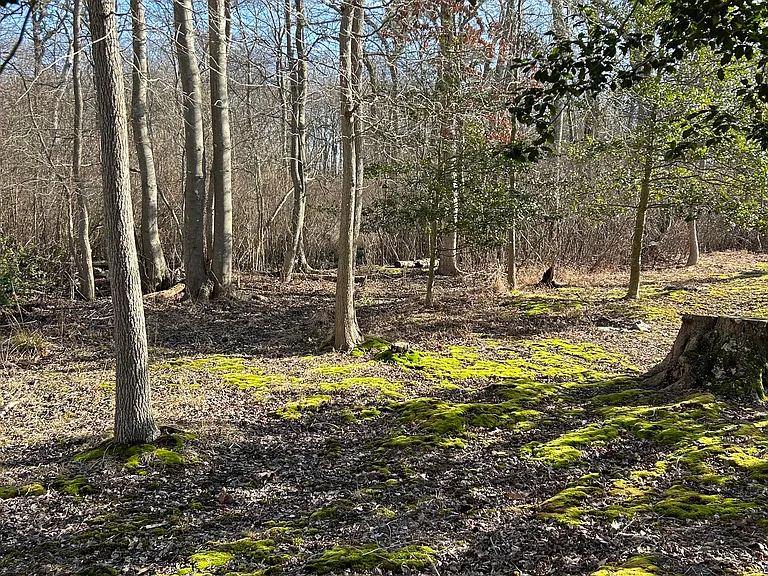 16 Quail Run — Photo 18