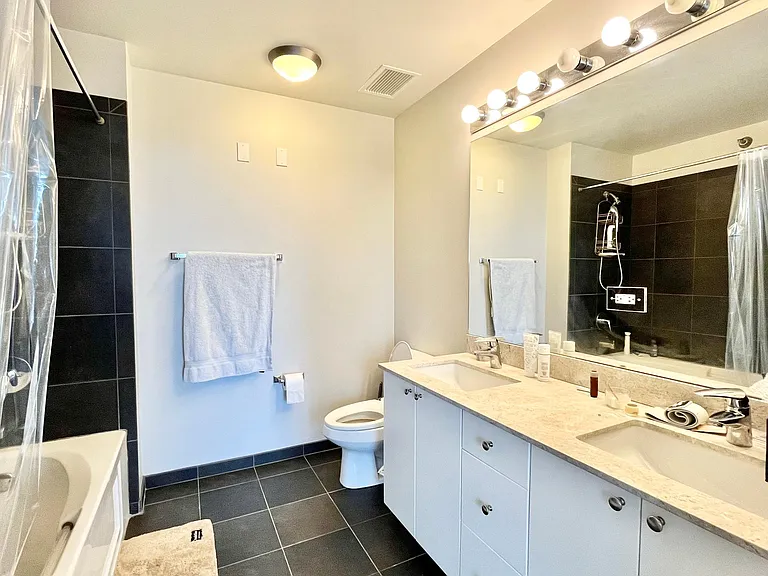 235 W Van Buren St #3114 — Photo 8