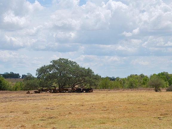 3rd image of TRACT 3 County Road 366
