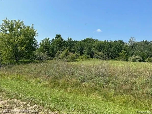 14449 Centennial Ln, Millington, MI 48746