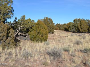 3919 Trebil Blvd, Snowflake, AZ 85937