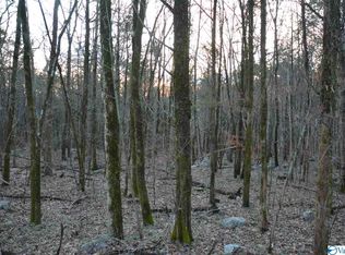 0 County Road 17, Scottsboro, AL 35768