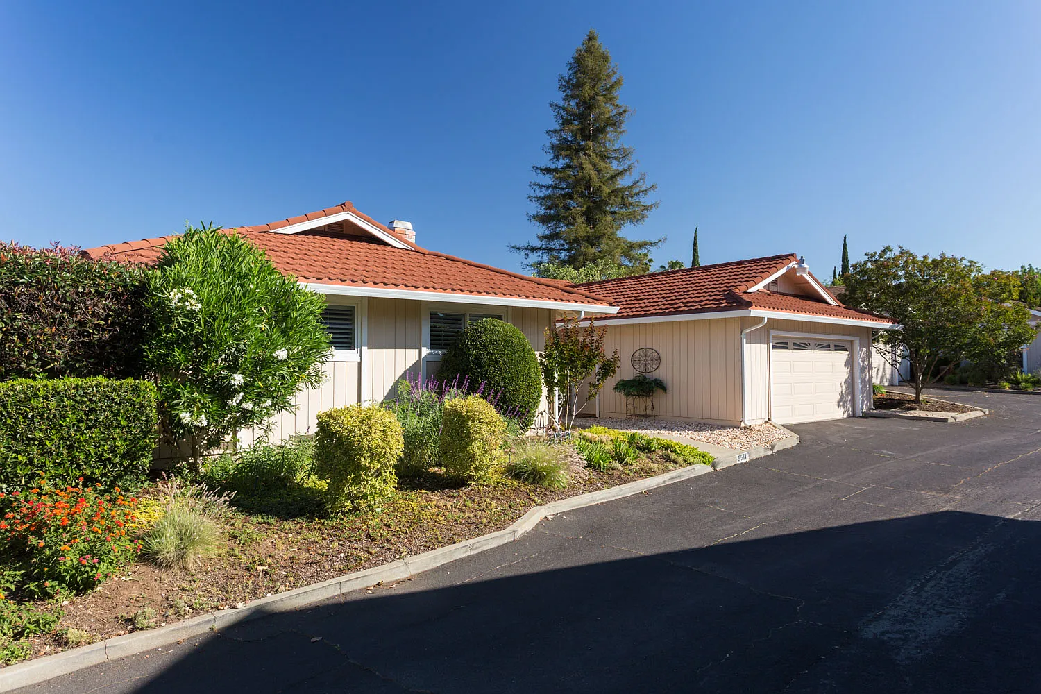 5511 Guadalupe Ct photo 1