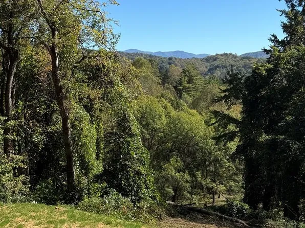 LOT 3 Miners Way, Bryson City, NC 28713