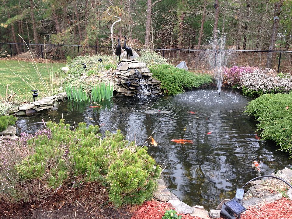 2nd image of 59 Haven Rd