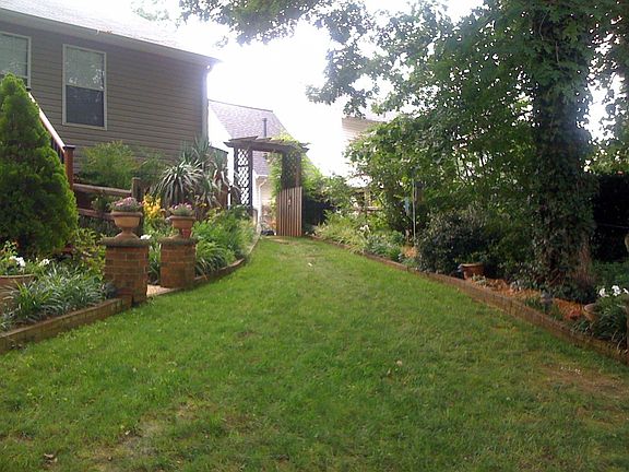 Back yard.