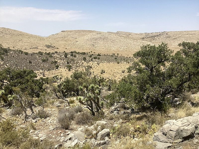 2nd image of PARCEL 338-09-224