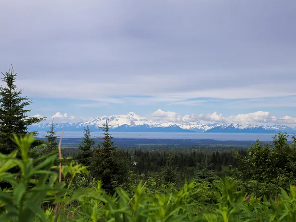 32800 Coyote Run Rd, Anchor Point, AK 99556