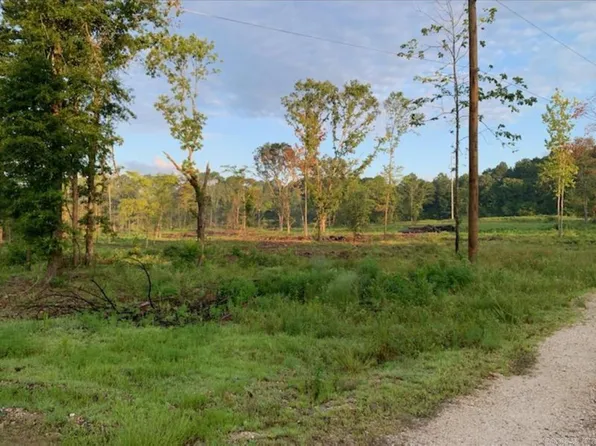 TRACT 1 Highway 11395 #84, Bismarck, AR 71929
