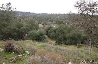 1st image of 30034 Yosemite Springs Cir
