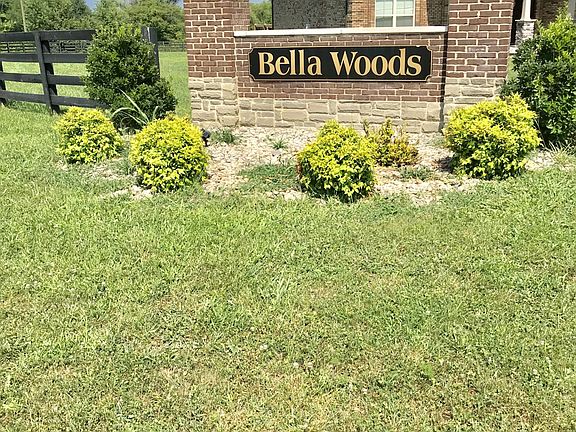 5th image of Bella Woods #46