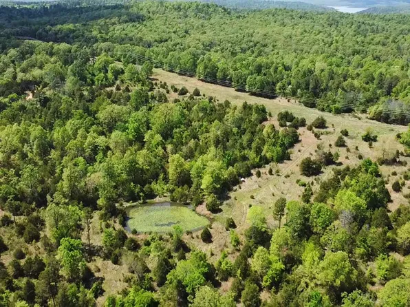 001-09819-000 Bowkers Ln, Dolph, AR 72528